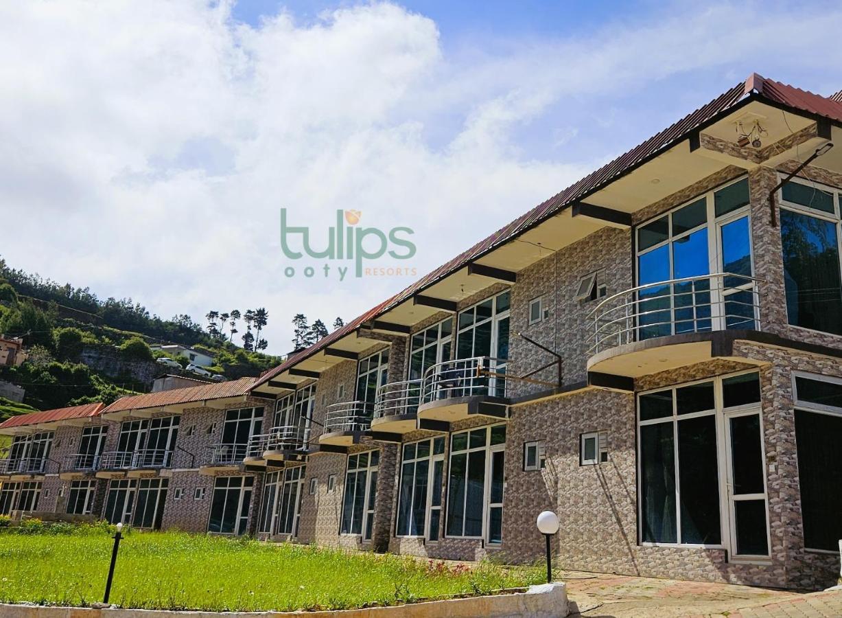 Tulips Village Resorts Уті Екстер'єр фото