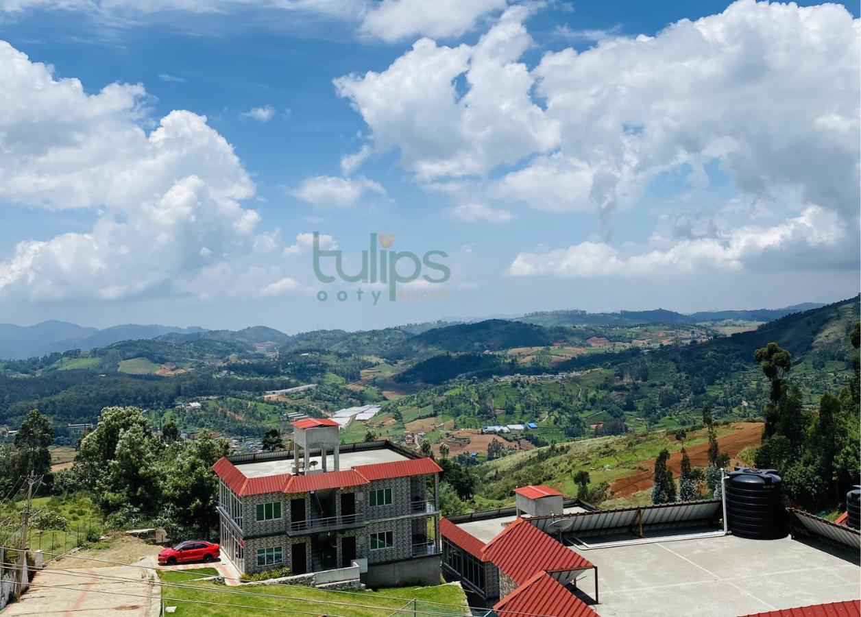Tulips Village Resorts Уті Екстер'єр фото