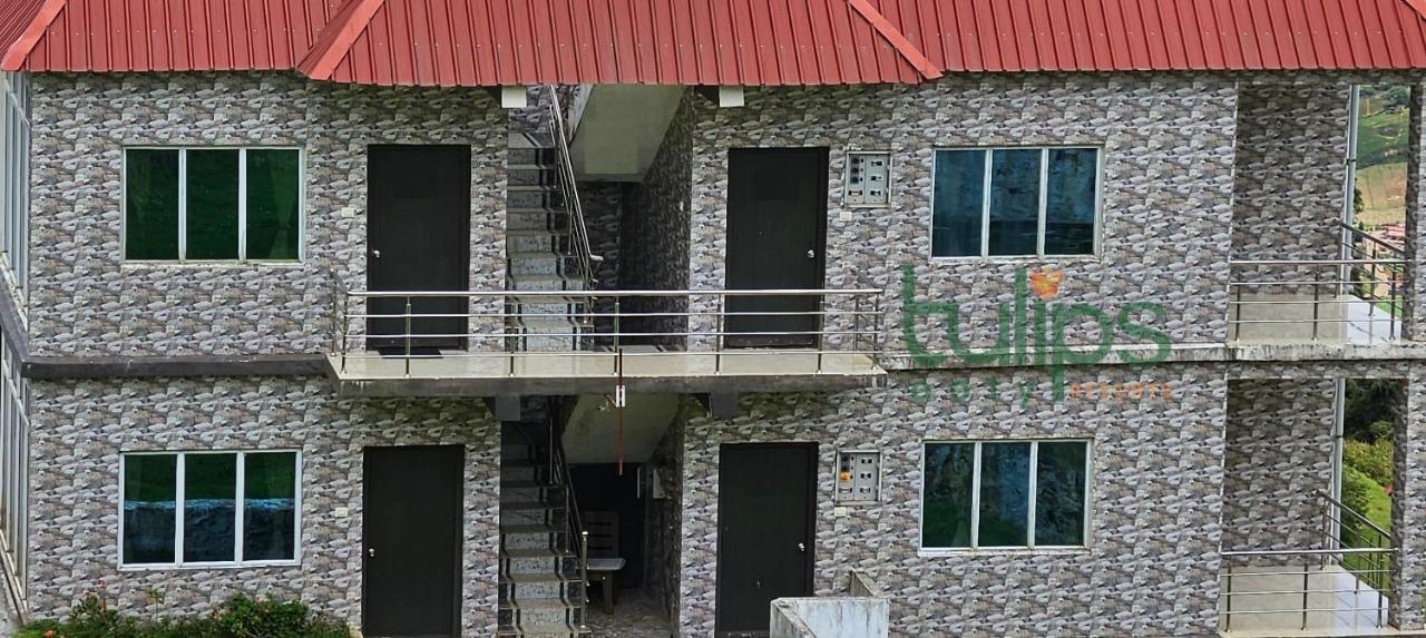 Tulips Village Resorts Уті Екстер'єр фото